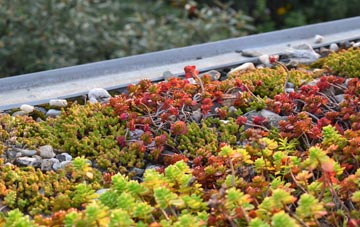 the cost of Derrymacash green roof installation