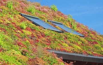 Derrymacash living roof systems