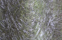 Derrymacash fibreglass roof work